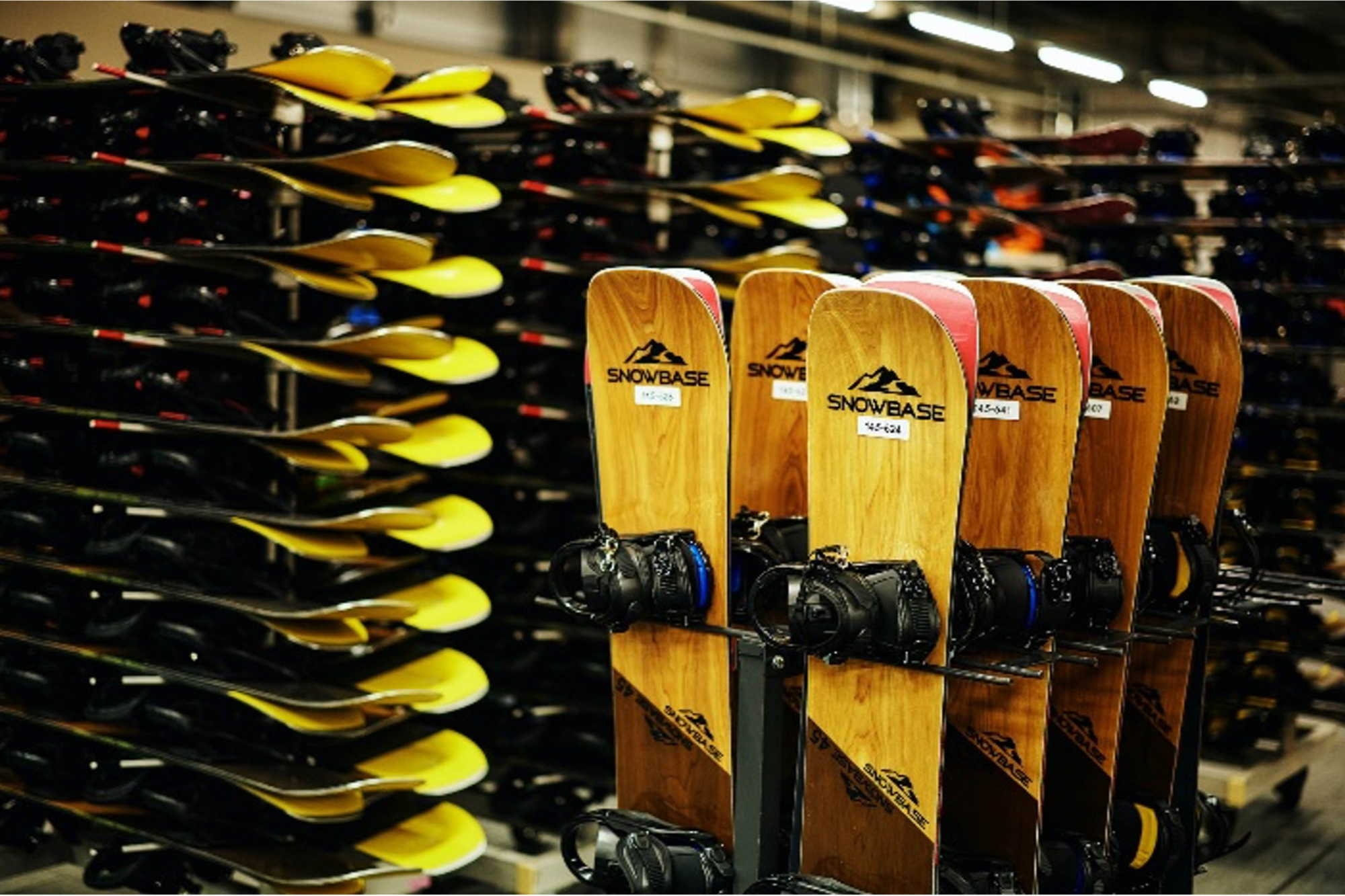 フィッシャーなど取り扱い種類の詳細